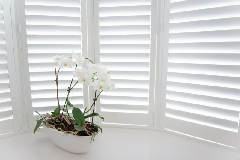 Interior Shutters Installation in Boulder, CO
